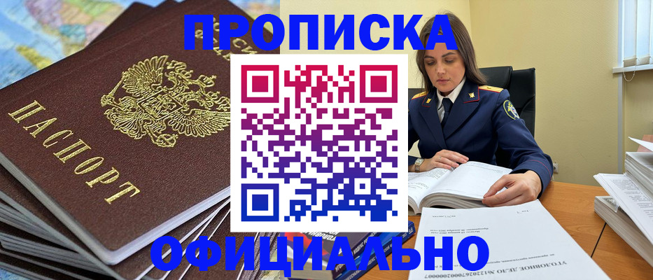 прописка для школы в Звенигово